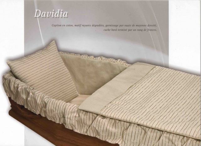 capiton-davidia