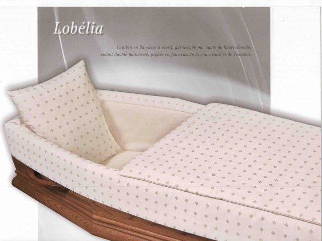capiton-lobeilia